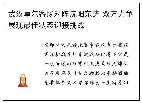 武汉卓尔客场对阵沈阳东进 双方力争展现最佳状态迎接挑战